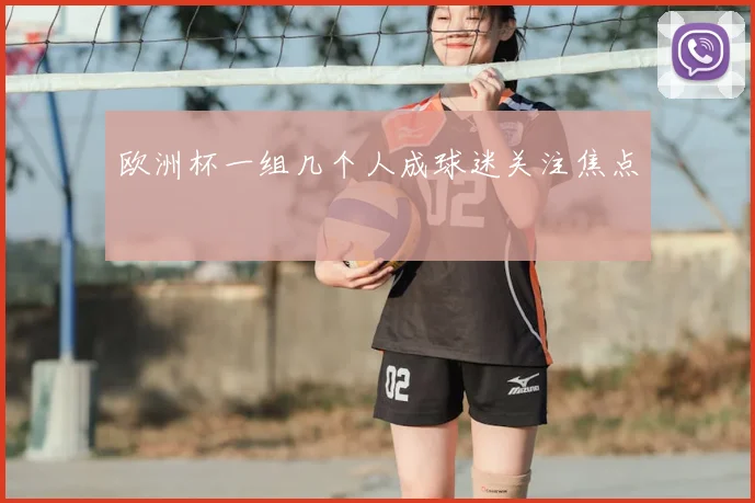 欧洲杯一组几个人成球迷关注焦点
