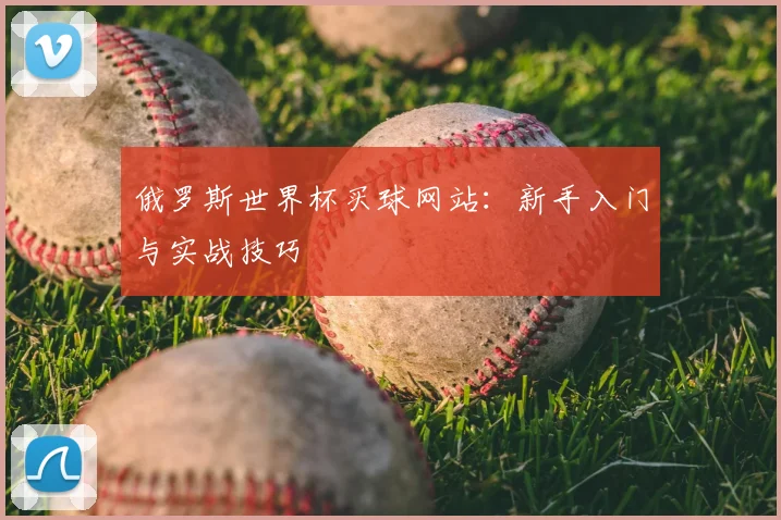 俄罗斯世界杯买球网站：新手入门与实战技巧