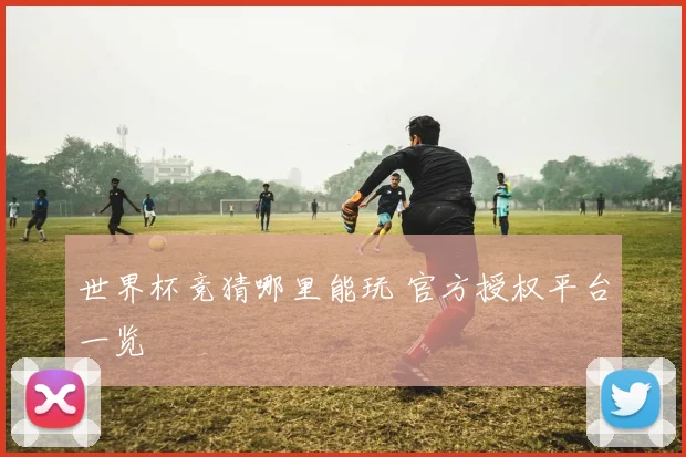 世界杯竞猜哪里能玩 官方授权平台一览