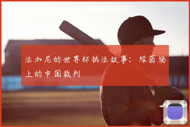 法加尼的世界杯执法故事：绿茵场上的中国裁判