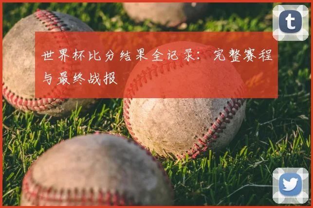 世界杯比分结果全记录：完整赛程与最终战报
