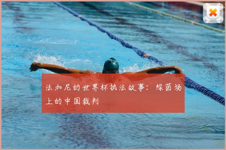 法加尼的世界杯执法故事:绿茵场上的中国裁判