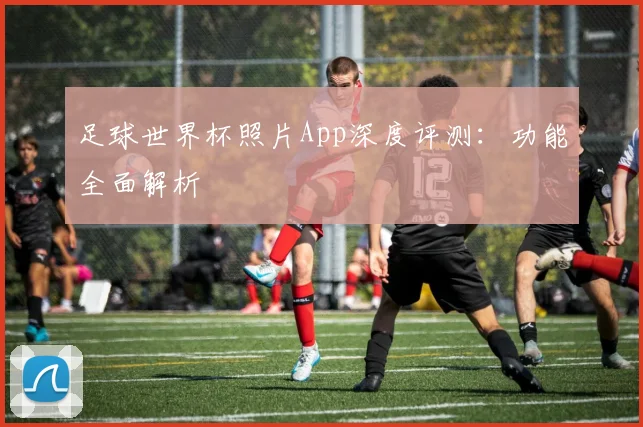足球世界杯照片App深度评测:功能全面解析