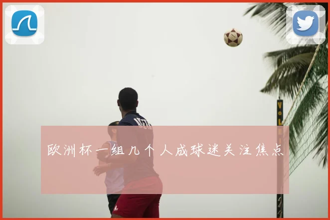 欧洲杯一组几个人成球迷关注焦点