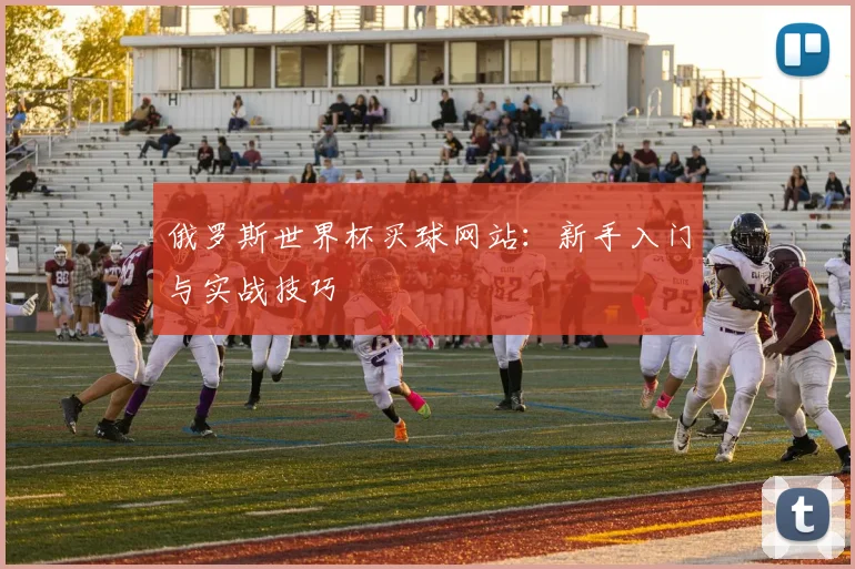 俄罗斯世界杯买球网站:新手入门与实战技巧
