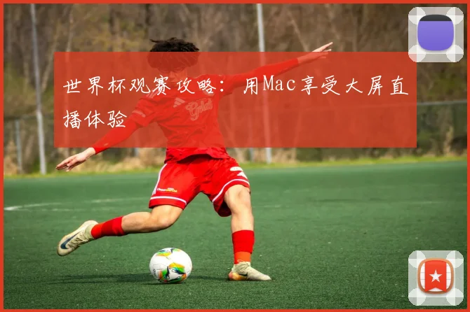 世界杯观赛攻略：用Mac享受大屏直播体验